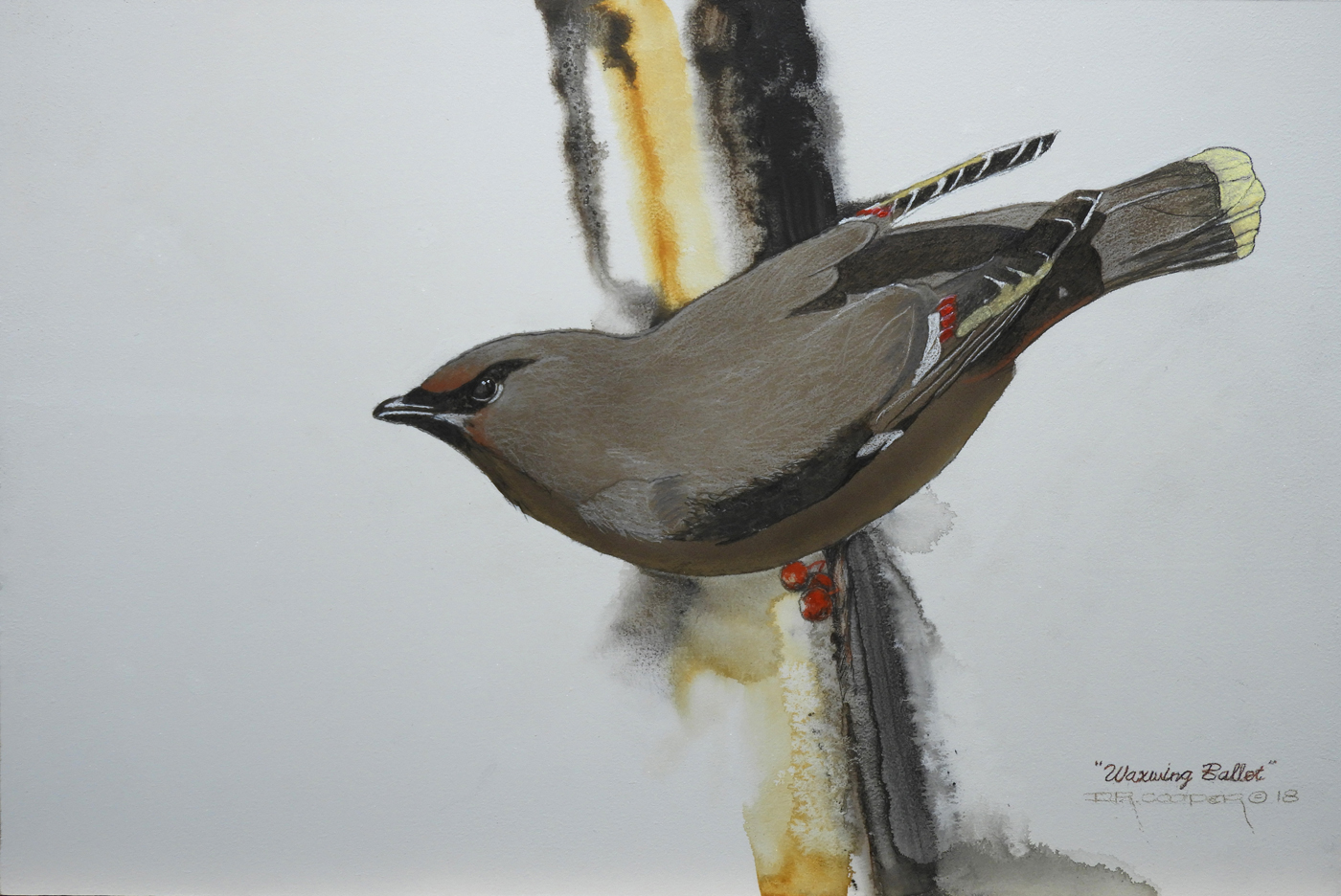 waxwing ballet